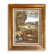Load image into Gallery viewer, Reprotique - The Fables of Aesop Framed