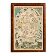 Load image into Gallery viewer, Reprotique - Hunting & Fowling Framed Prints