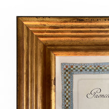 Load image into Gallery viewer, Reprotique ORNITHOLOGIA Prints - Framed