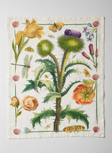 Load image into Gallery viewer, Peony & Scottish Thistle Tea Towels