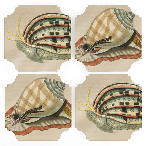 Coasters | Decorative Snails, set of four