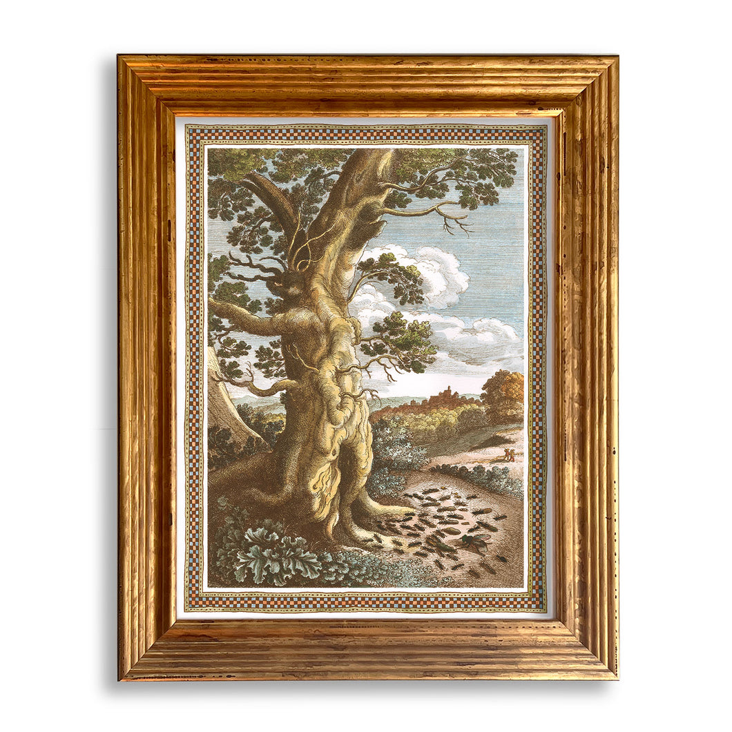 Reprotique - The Fables of Aesop Framed