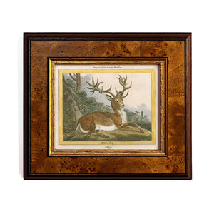 Reprotique - The Stag & Hind Framed Prints