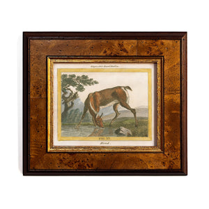 Reprotique - The Stag & Hind Framed Prints