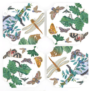 Coasters | English Moths & Insects (Set of Four)