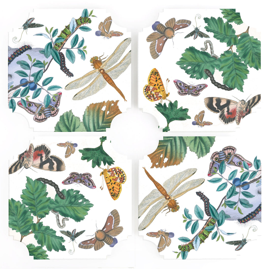 Coasters | English Moths & Insects (Set of Four)