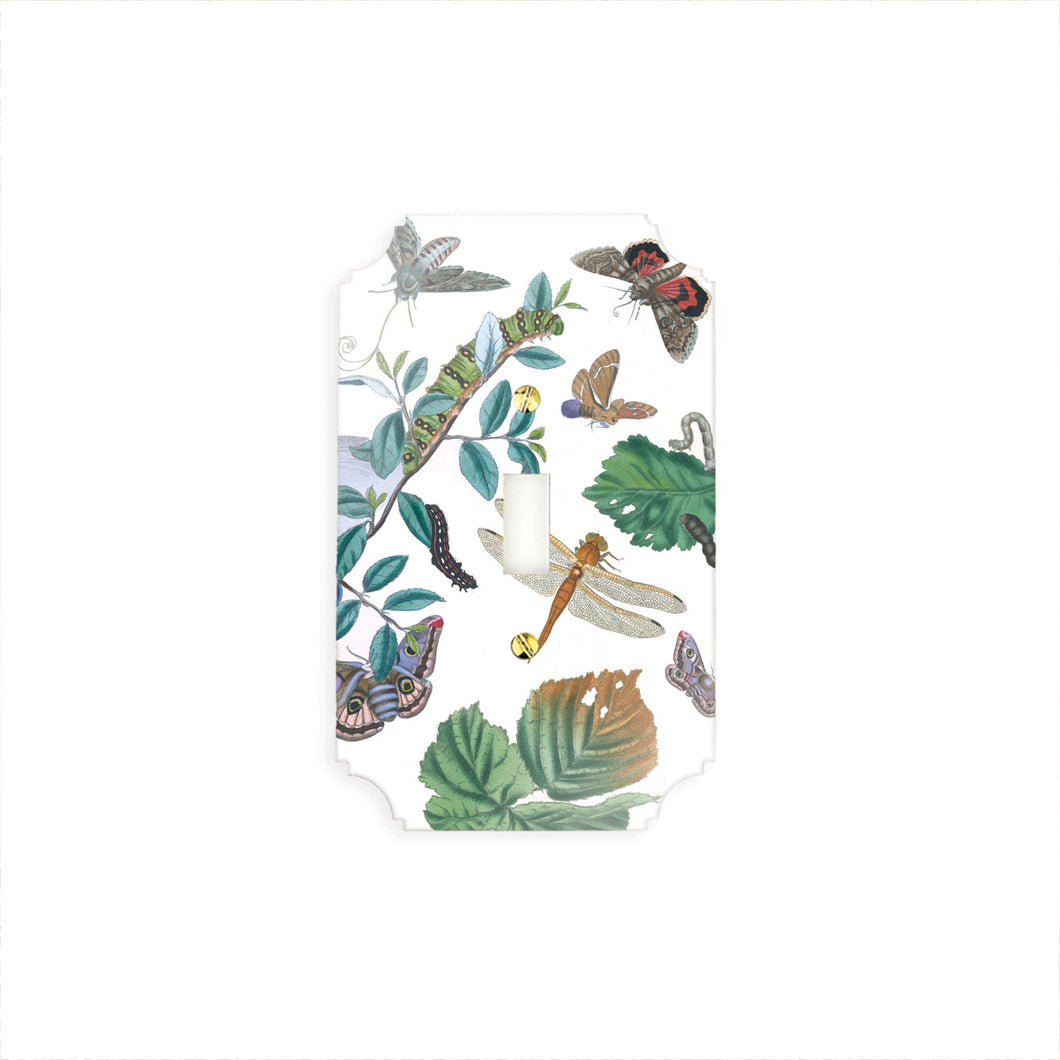 Printed Switch Plates | English Moths & Insects
