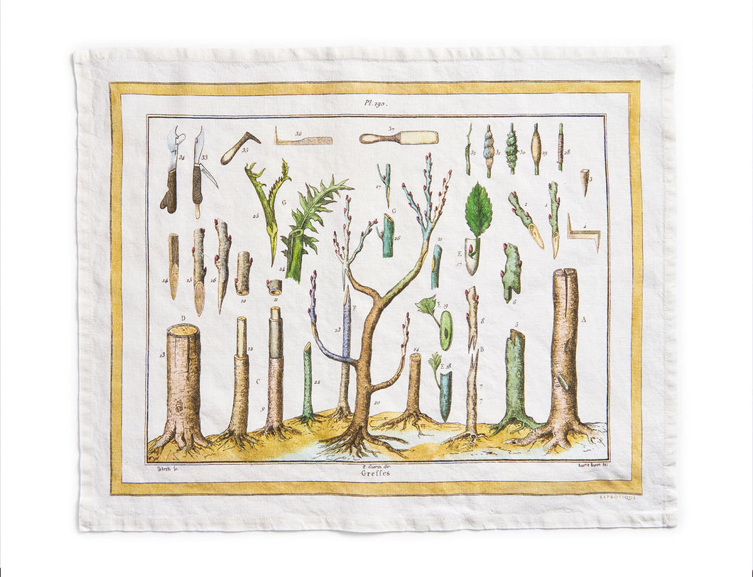 gardener grafting tea towels