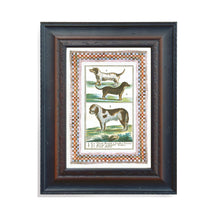 Load image into Gallery viewer, Framed artwork with illustrations of dogs on a white background