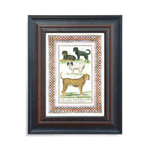 Load image into Gallery viewer, Framed print of a classical illustration of dogs with decorative border