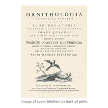 Load image into Gallery viewer, Reprotique ORNITHOLOGIA Prints - Framed