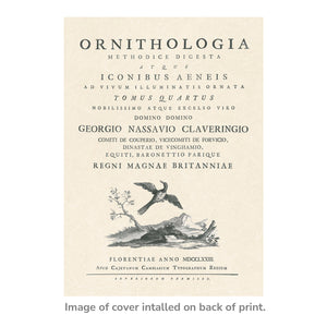 Reprotique ORNITHOLOGIA Prints - Framed
