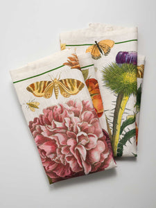 Peony & Scottish Thistle Tea Towels