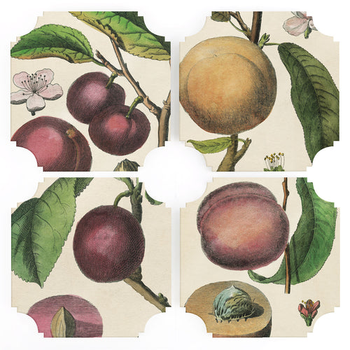 Coasters | 19th c. Fruit Prints, set of four