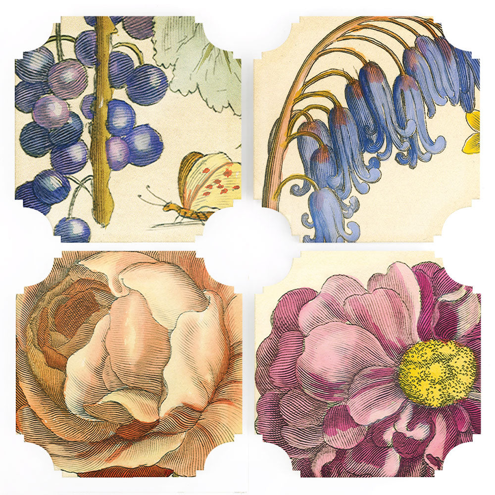 Coasters | Hollar Floral Coaster, set of four