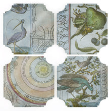 Load image into Gallery viewer, Coasters | Celestial Birds &amp; Pears, set of four