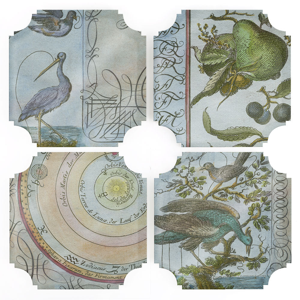 Coasters | Celestial Birds & Pears, set of four