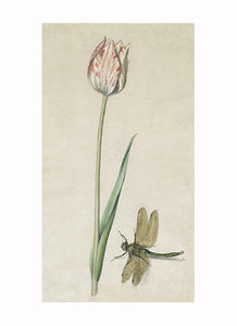 British Watercolor Botanicals, 18th c.