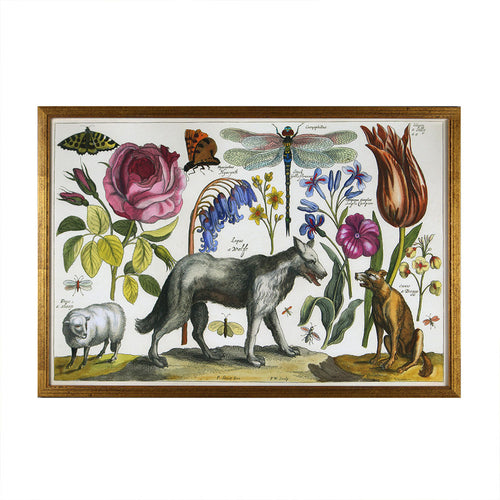Wencelaus Hollar (17th c) Reprotique Reproductions - Framed