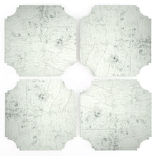 Load image into Gallery viewer, Coasters | Silvered, set of four