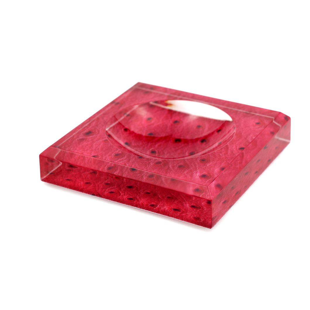 Acrylic Block Soap Dish | Ostrich