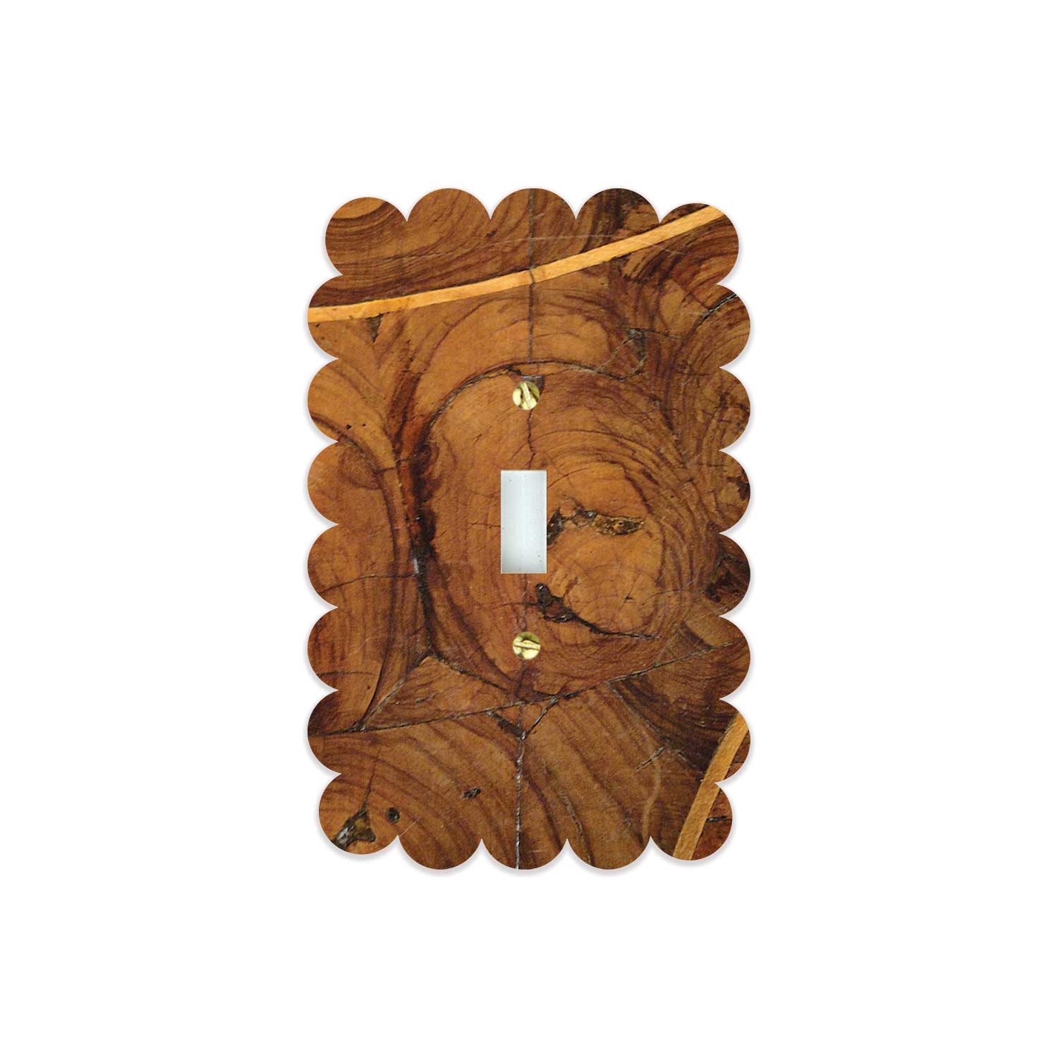 Sassy Switch Plates, Acrylic | Oysterwood – Reprotique