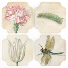 Load image into Gallery viewer, Coasters | Bots + Bugs, set of four