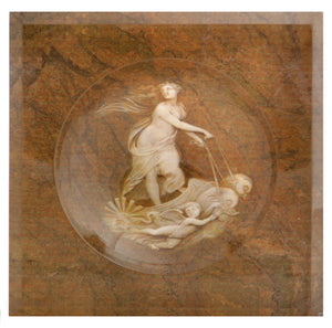 Acrylic Block Soap Dish | Venus in Brown