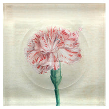 Load image into Gallery viewer, Trinket Bowl | Watercolor Carnation