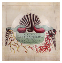 Load image into Gallery viewer, Trinket Bowl | Carolina, Florida &amp; Bahama Islands