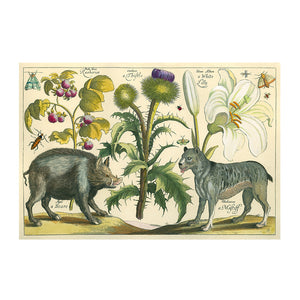 Wencelaus Hollar (17th c) Reprotique Reproductions - Framed